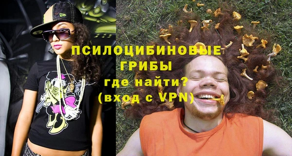 ГАЛЛЮЦИНОГЕННЫЕ ГРИБЫ Богданович